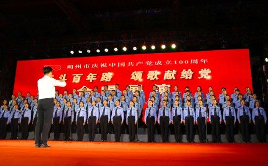 救援鹦鹉