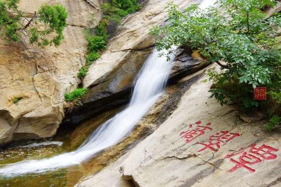 救援紫色生物